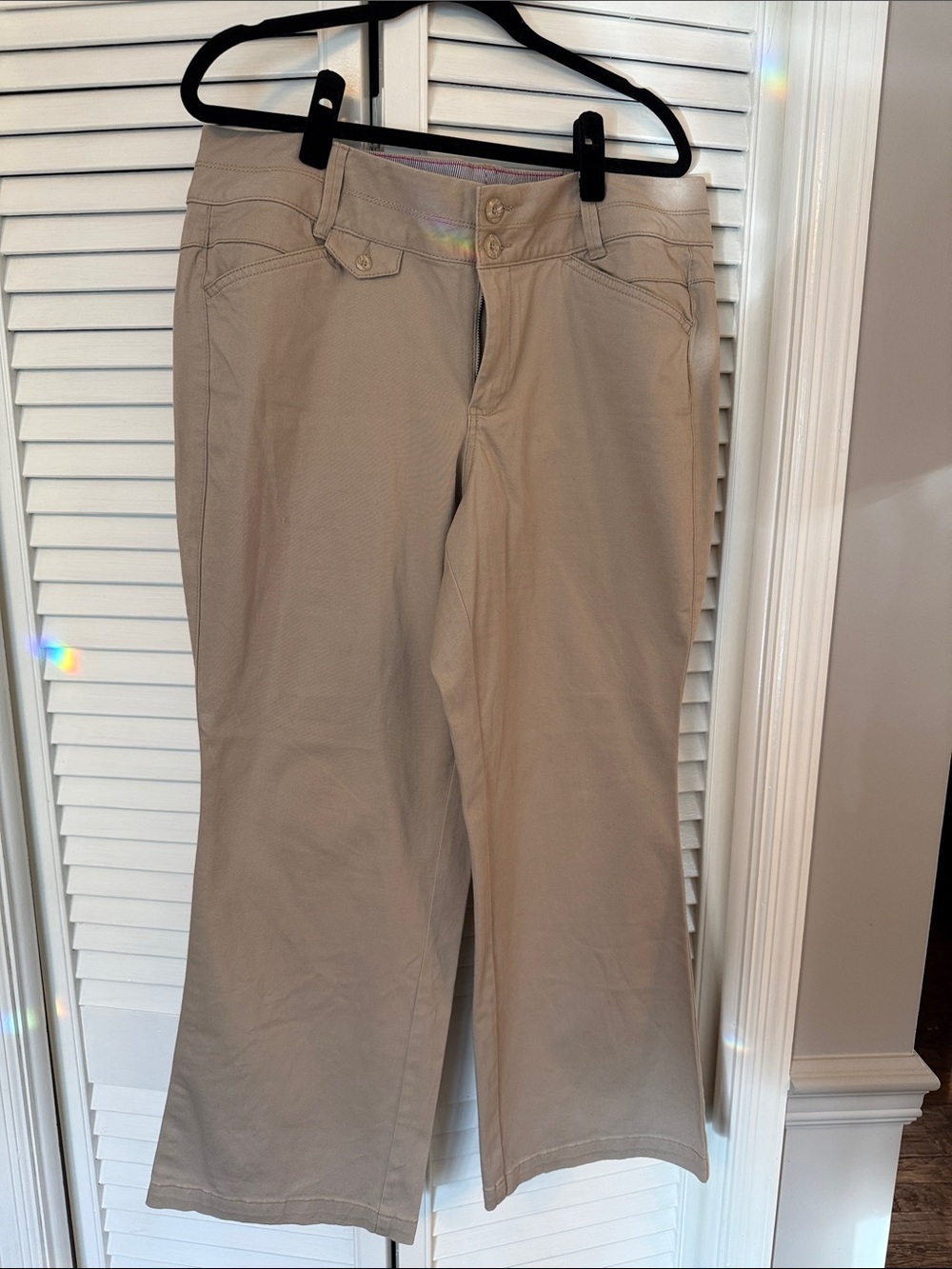 Lane Bryant Light Beige Wide-Leg Pants